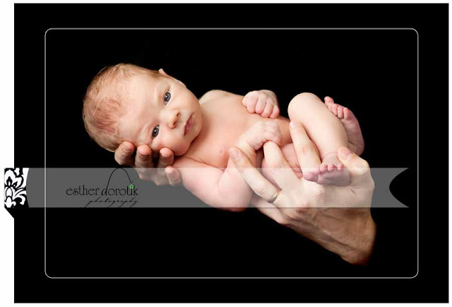 dallas newborn photography newborn boy