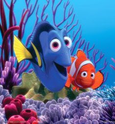 Dora_from_Finding_Nemo.jpg