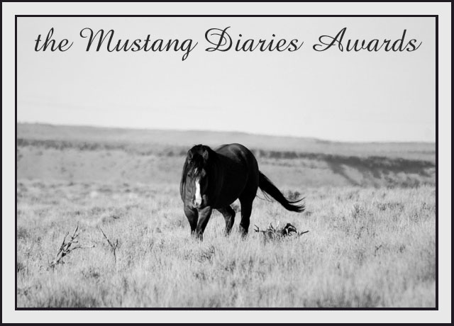 Mustang Diaries Awards