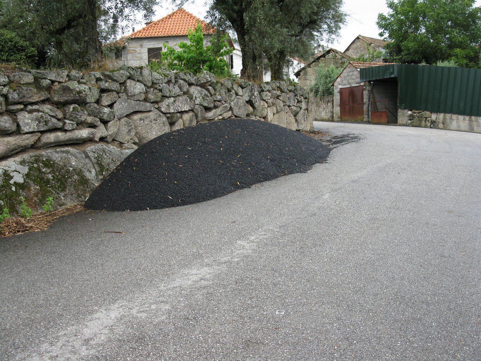 [IMG_7393.JPG]