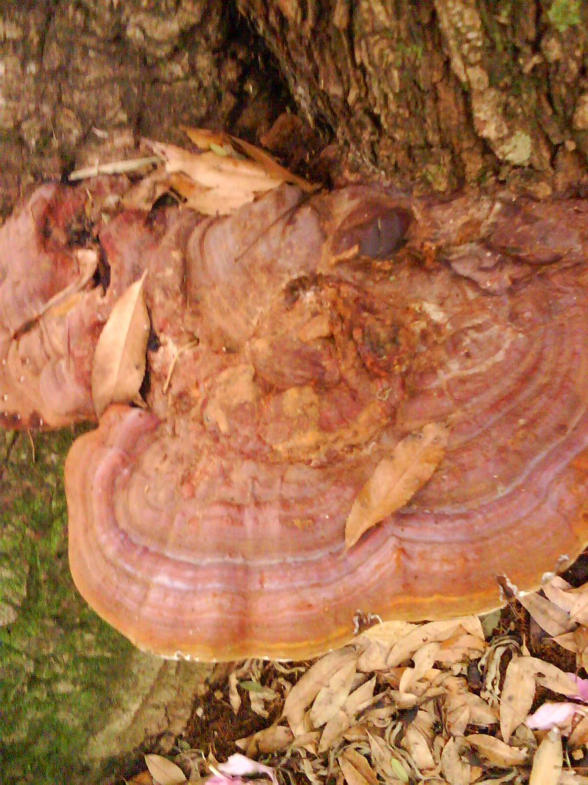 [DSC00214.JPG]