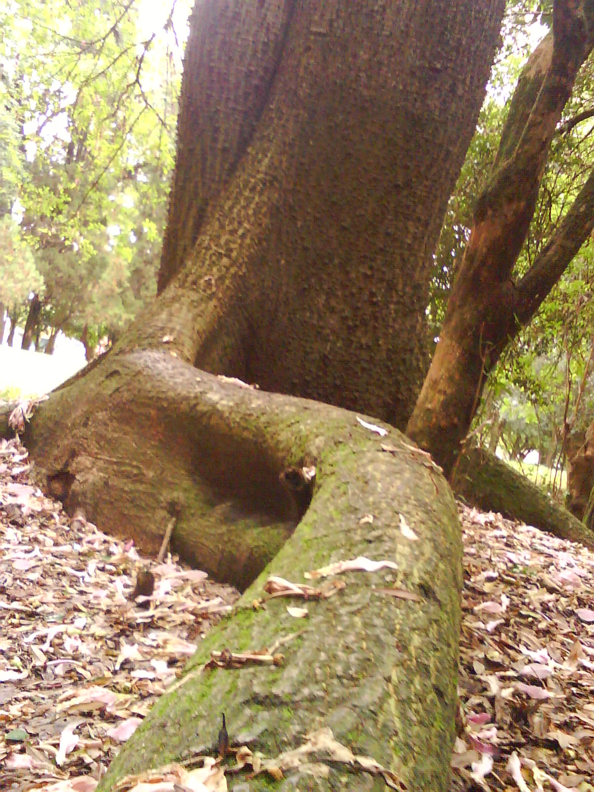 [DSC00208.JPG]