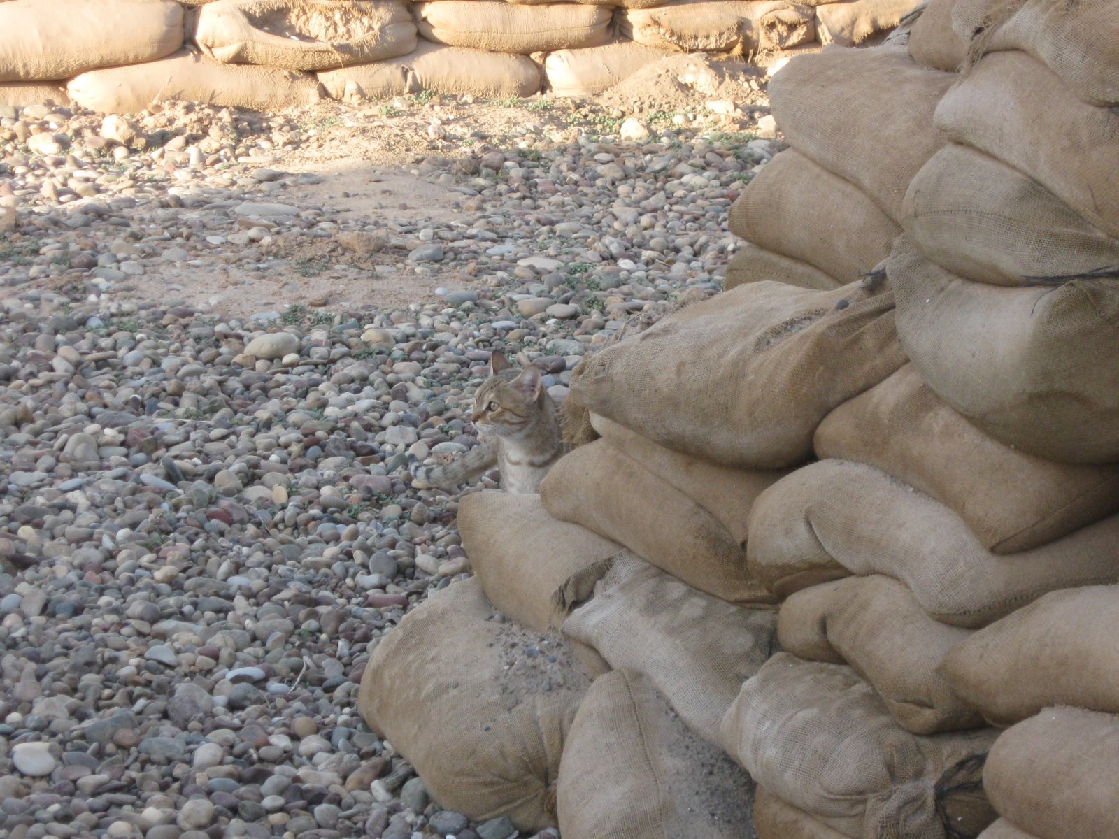 [IMG_0364.JPG]
