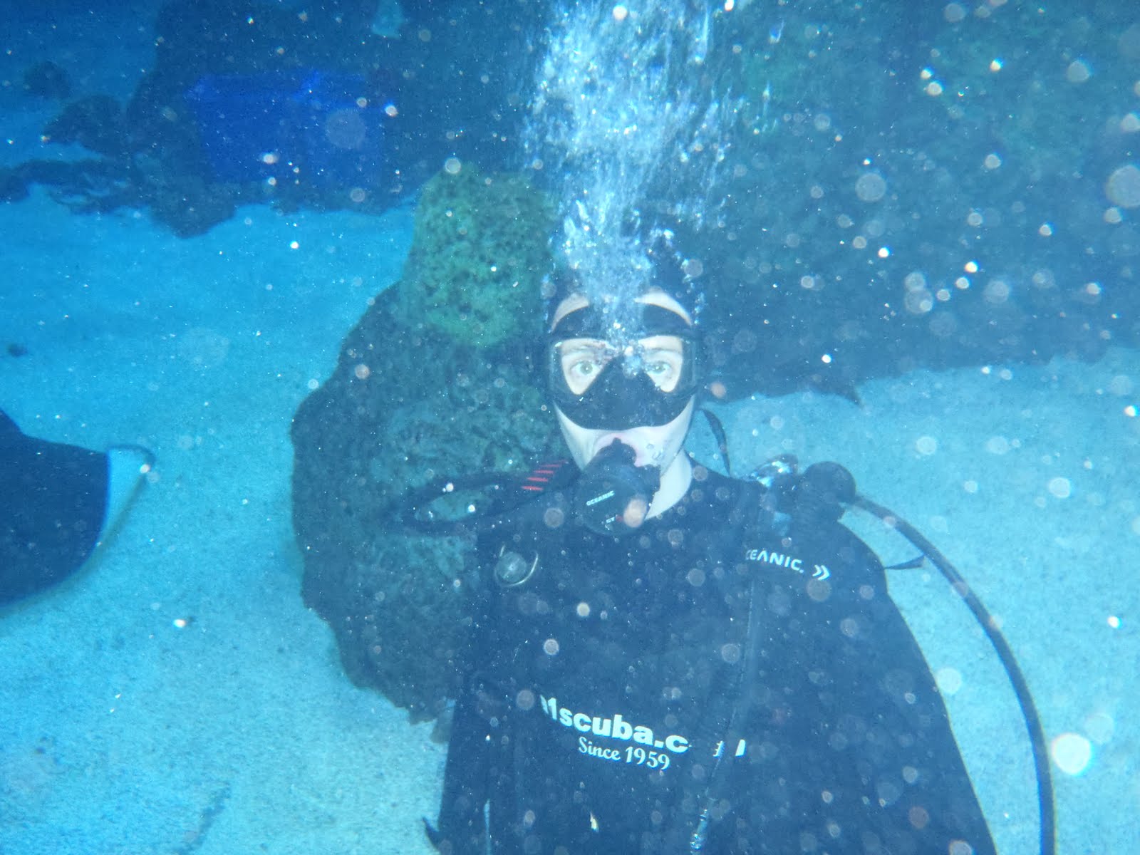 Colorado Adventures Scuba Diving Denver Aquarium