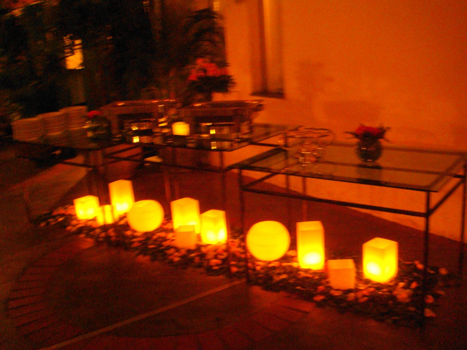 [DSC01148.JPG]