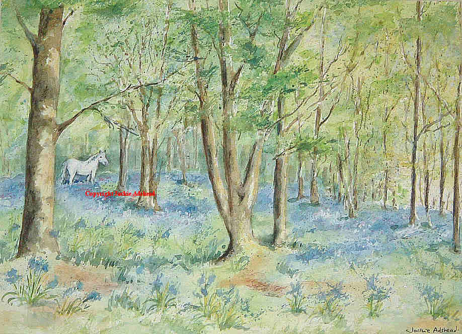 [Two+horses+in+bluebell+wood+(2).jpg]