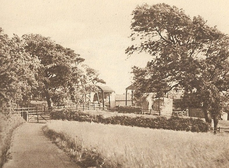 Family Stories Dairy Farming in South Cheshire the Past is another