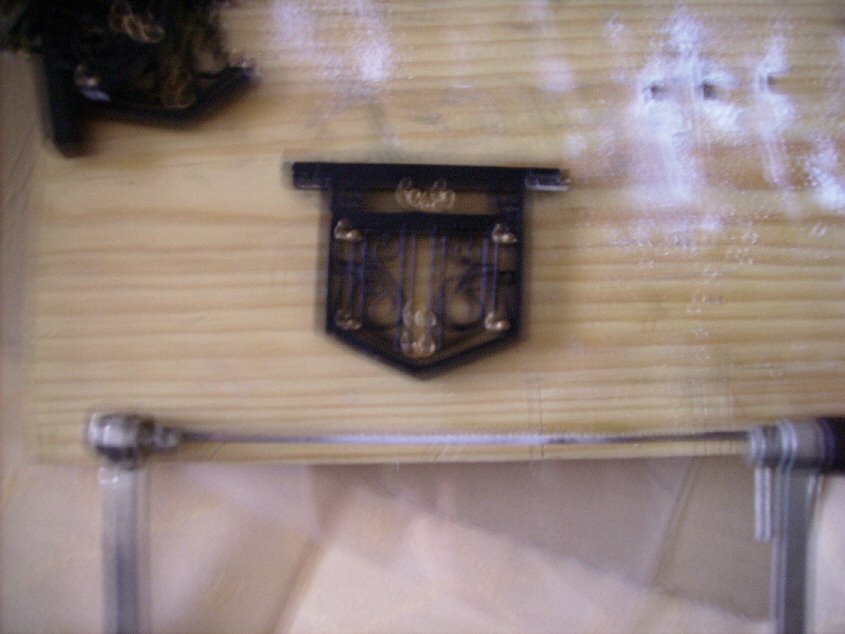 [PICT0973.JPG]