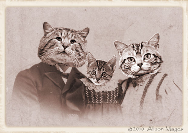 [Cat+Family.jpg]