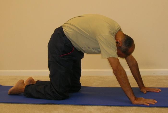 [catcow01-small.jpg]