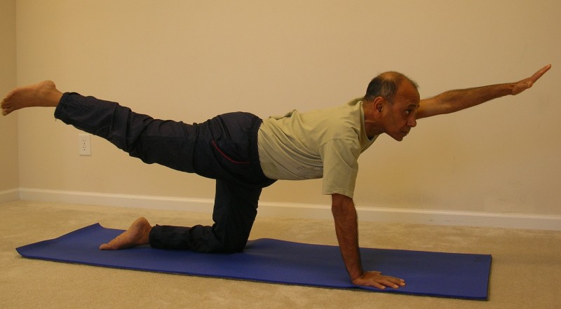 [catcow03-small.jpg]