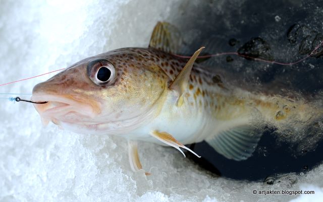 nätdejting västerås jobb