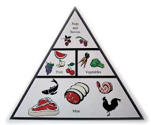 The True Food Pyramid