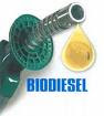 Biodisel