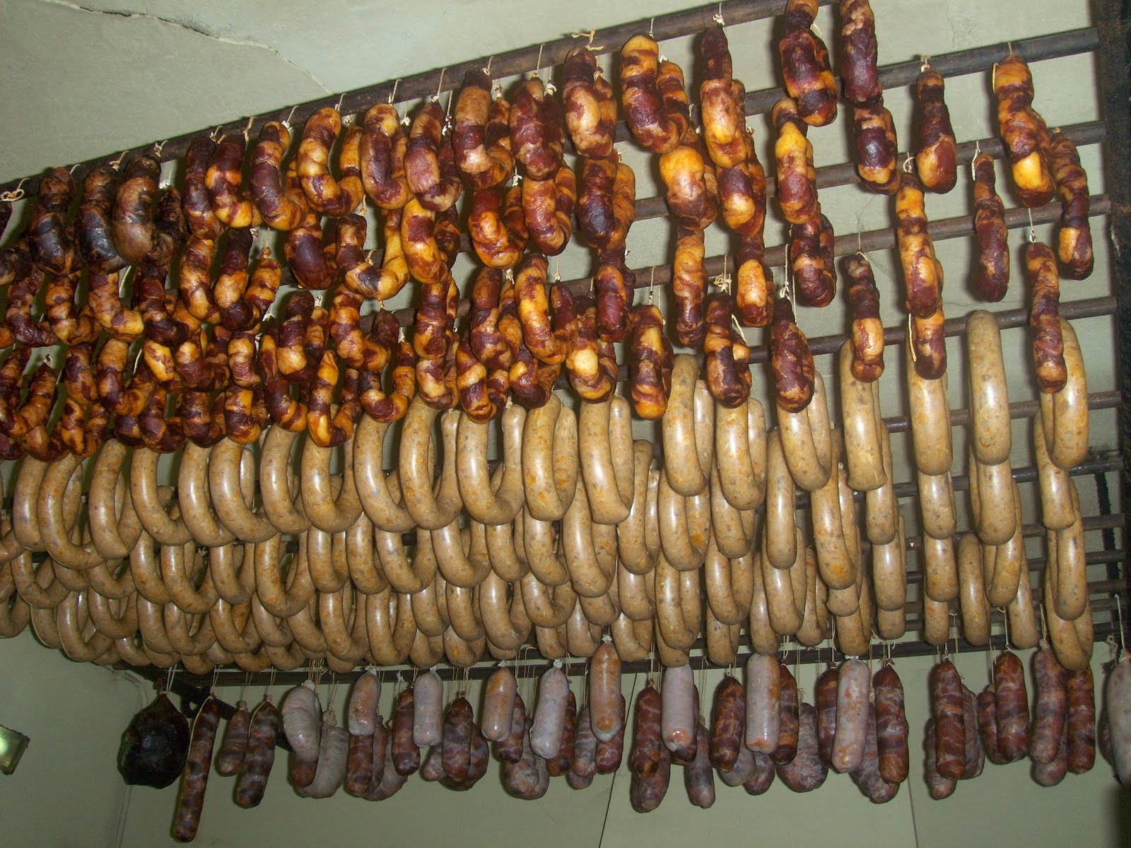 [HPIM2560.JPG]