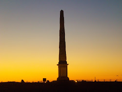 Cousas da Terra Adoptiva