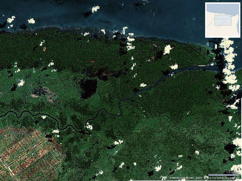 Foto Satelit Agustus 2008 Areal HTI PT. CIPTAMAS BUMISUBUR