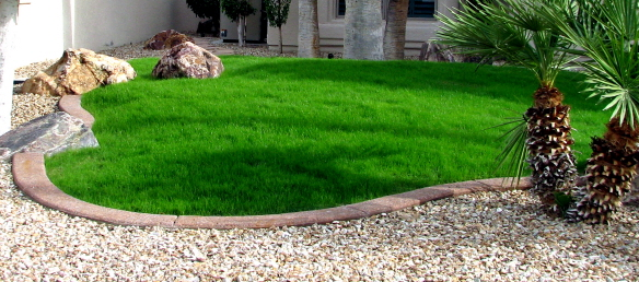 Home Garden Plans 2014: June 2010