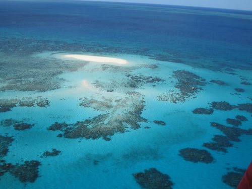 [great+barrier+reef.bmp]