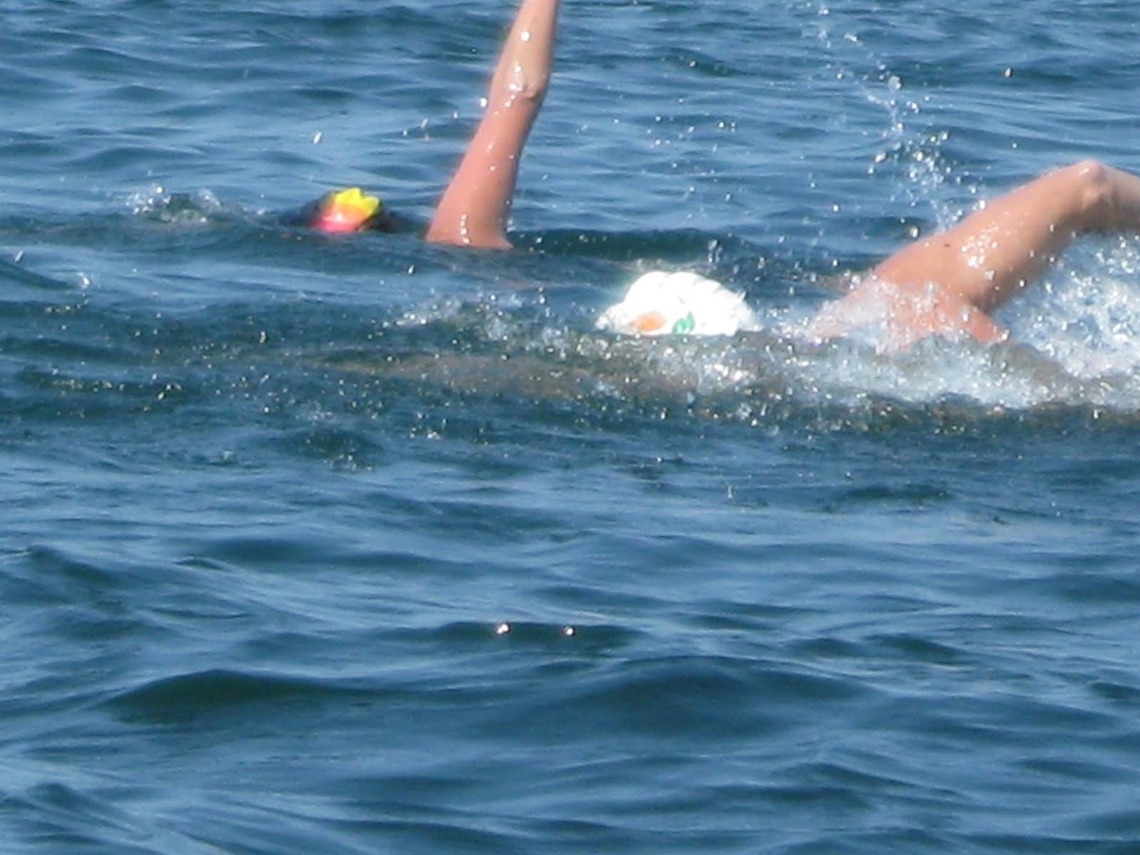 [cindy+and+jim+swimming.jpg]