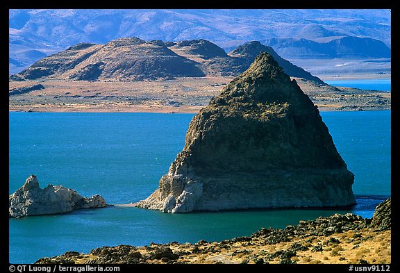 [black+rock+desert.jpg]