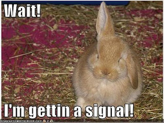 http://3.bp.blogspot.com/_wKLtUH_WJAo/TQ4kOFAYbJI/AAAAAAAAAr4/9hRNf5Q9TME/s320/funny-pictures-bunny-rabbit-antenna.jpg
