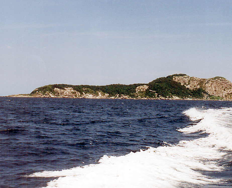 [40-SAIDA+DA+QUEIMADA+GRANDE.jpg]