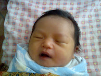 Emir Danial