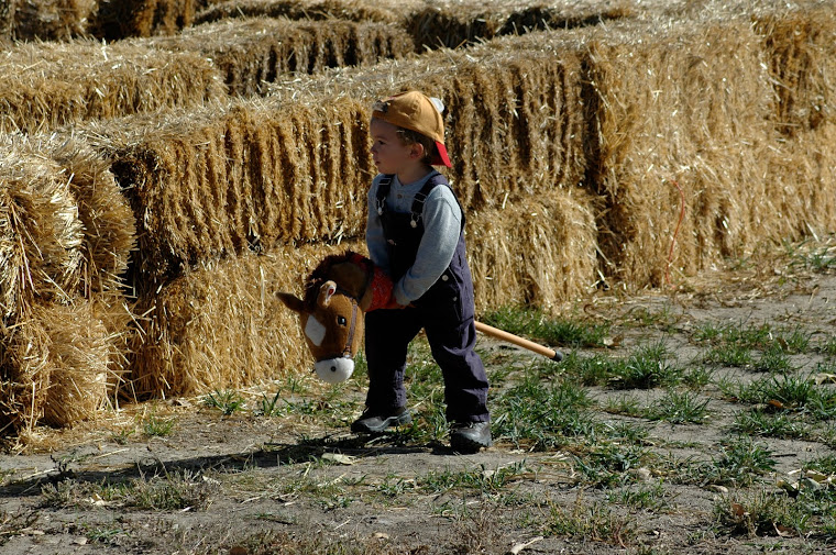 Little Cowboy