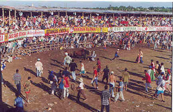 FIESTAS DE TORO