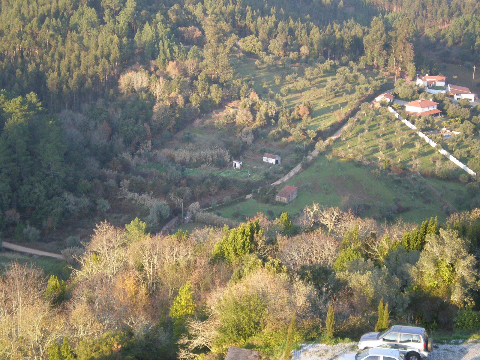 [P1040272.JPG]