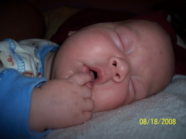 [Dylan+Aug+boppy+pics+crib+024.jpg]