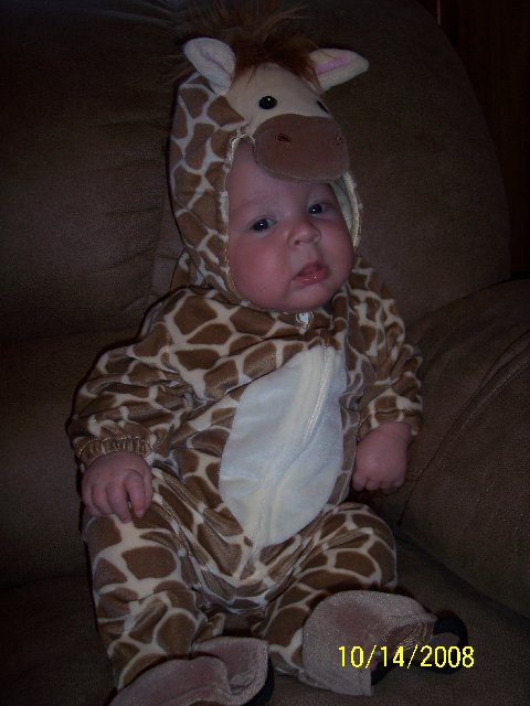 [Dylan+Halloween+Photo+Contest+Pictures+2008+024.jpg]