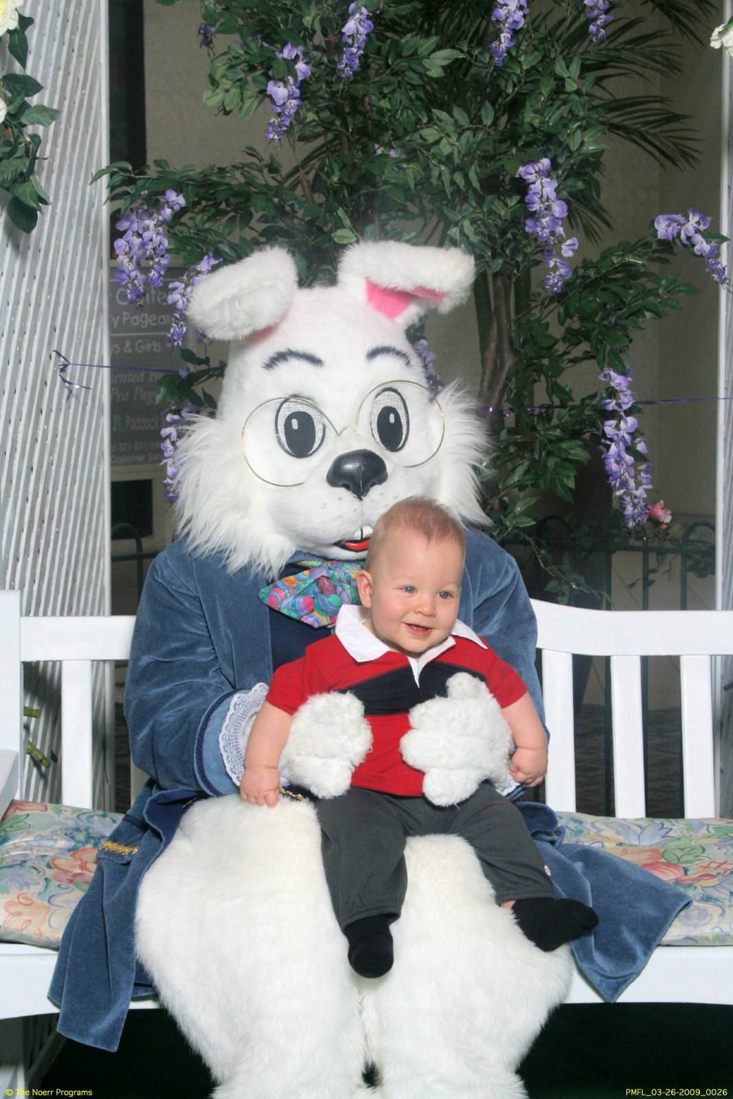 [Easter+Bunny+Pictures.jpg]