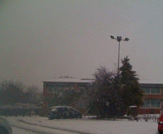 neveda en roses