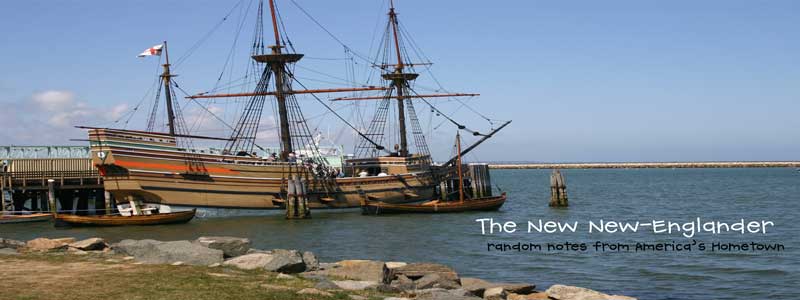 The New New Englander