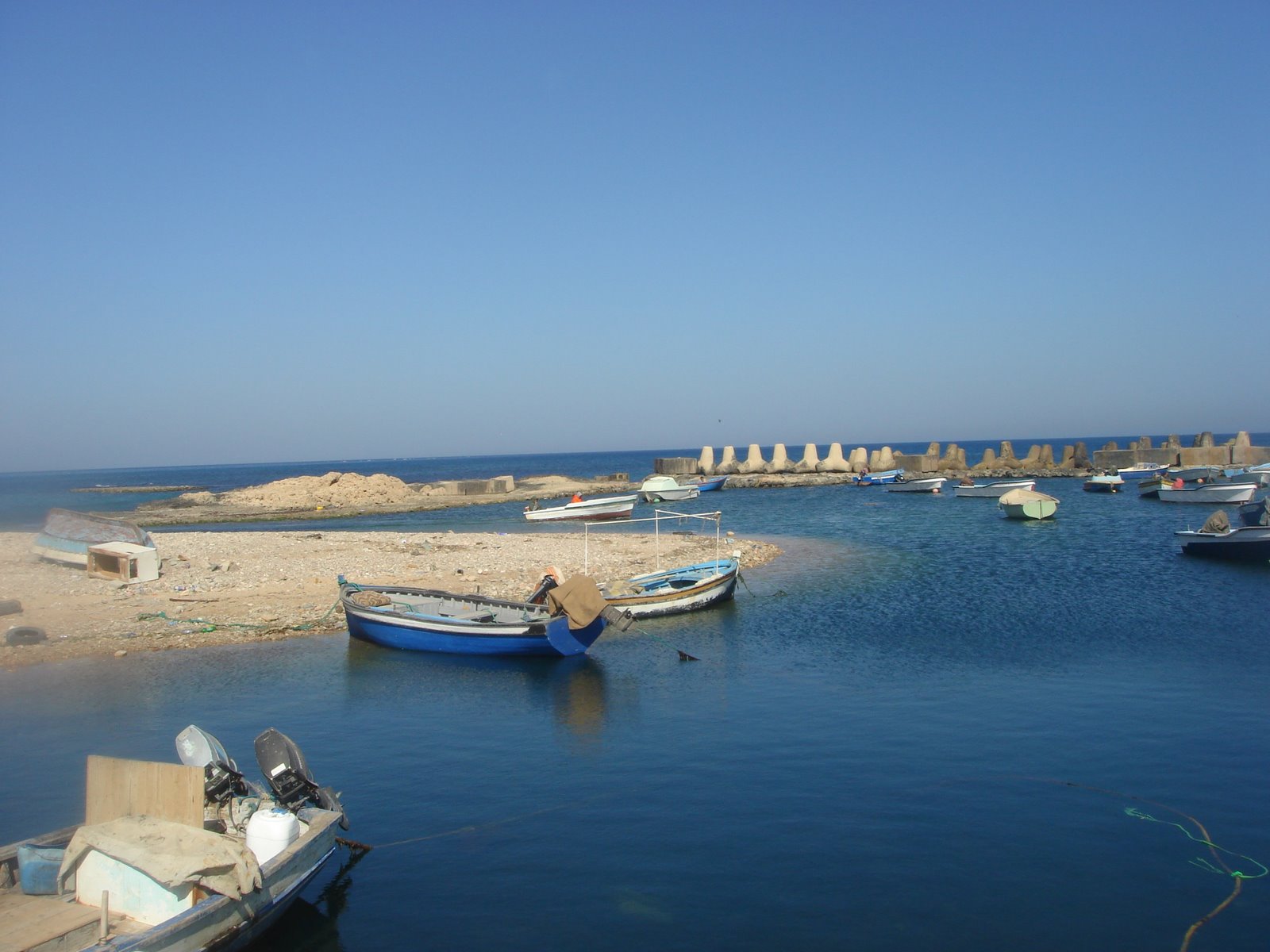 [DSC03460.JPG]