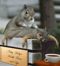 [image0014.gif]