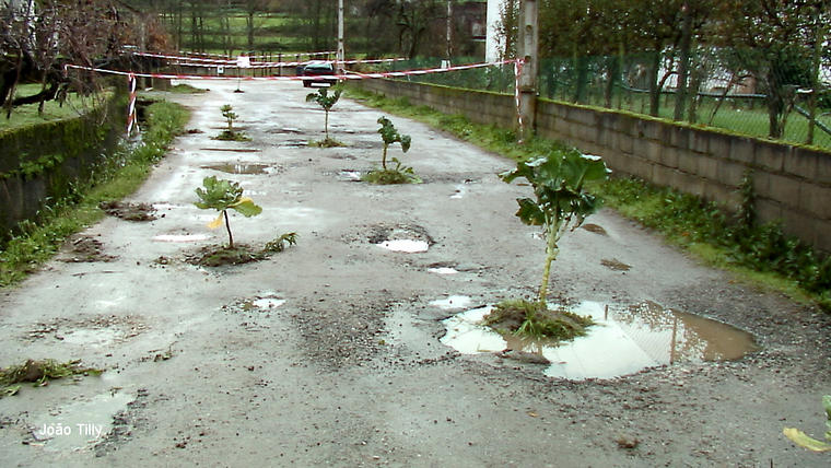 [image0016.jpg]