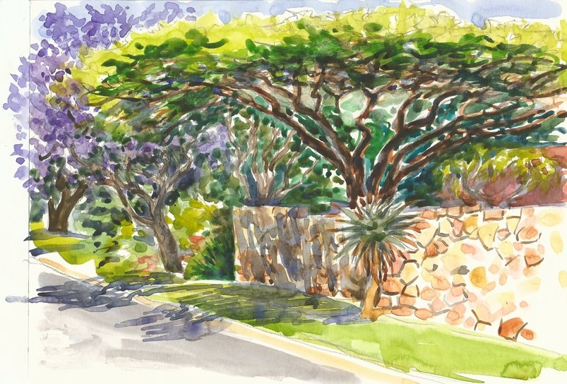 [jacandacaciaSIT.jpg]