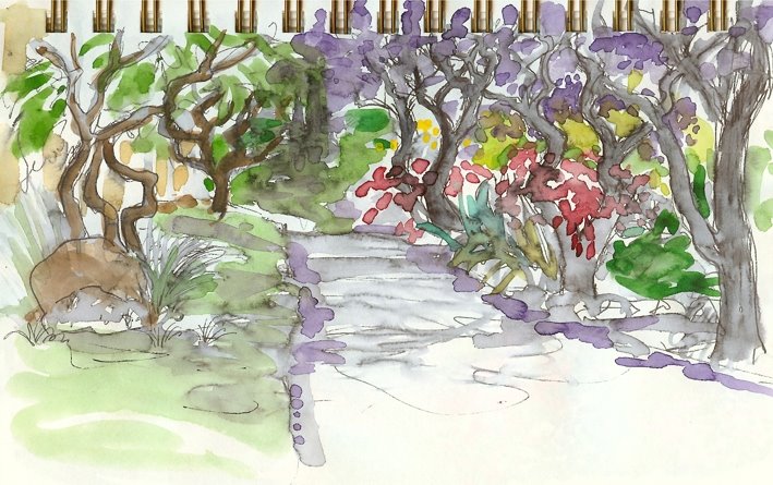 [jacarandaNcliff.jpg]