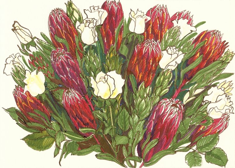 [proteas30th.jpg]