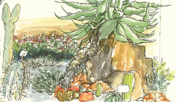 [cactus+grdn.jpg]