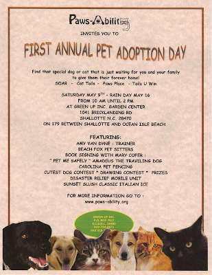 Adoption Fair