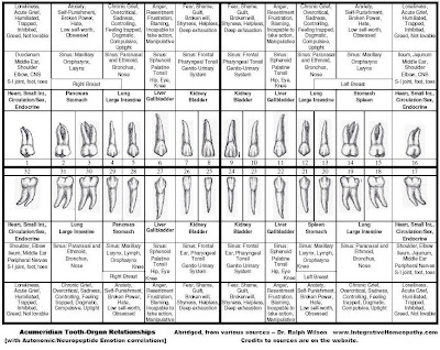 Dental Acupuncture Chart