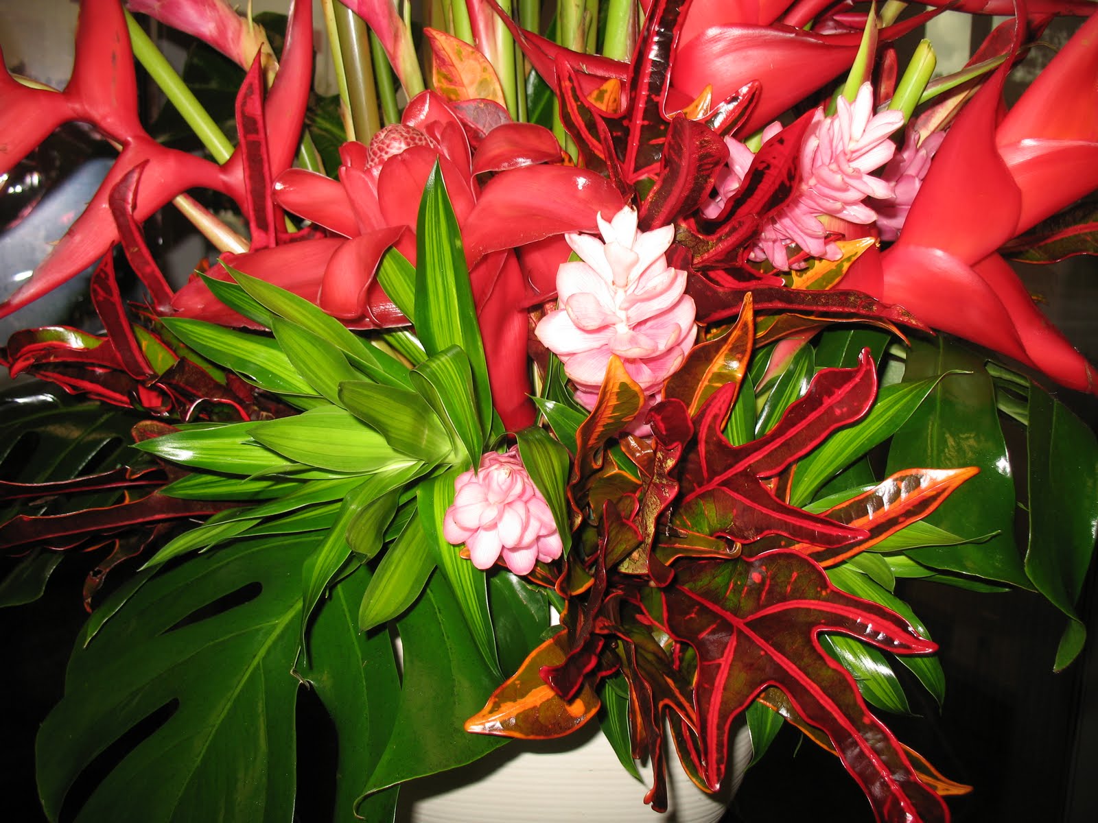 Flower shop by EK Order tropical flowers to someone special online