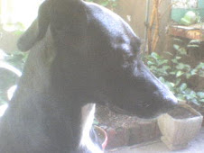 Mi "hermanita"