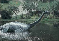 what i think of the loch ness monster essay The loch ness monster sources questions essay this theory is very interesting for the reader to think that somewhere within loch ness,. what i think of the loch ness monster essay The loch ness monster sources questions essay this theory is very interesting for the reader to think that somewhere within loch ness,.