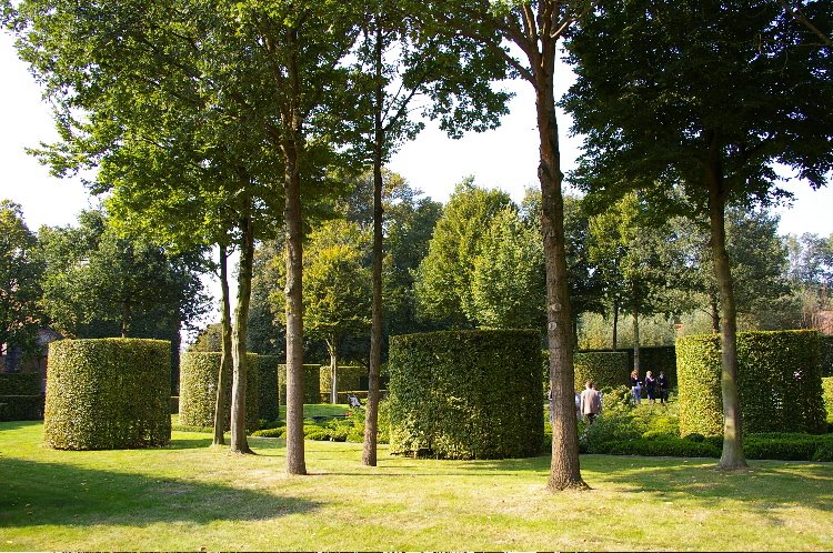 [trees]