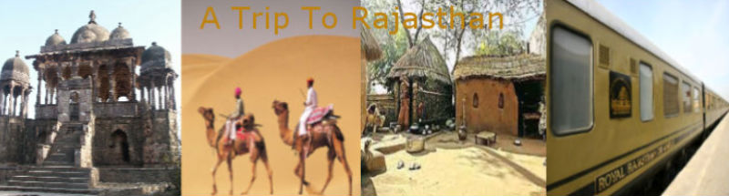A Trip To Rajasthan